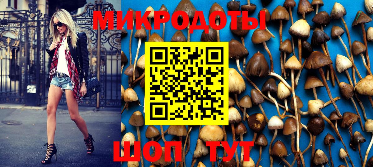 Псилоцибиновые грибы Psilocybe  Вход с VPN  Ачинск 